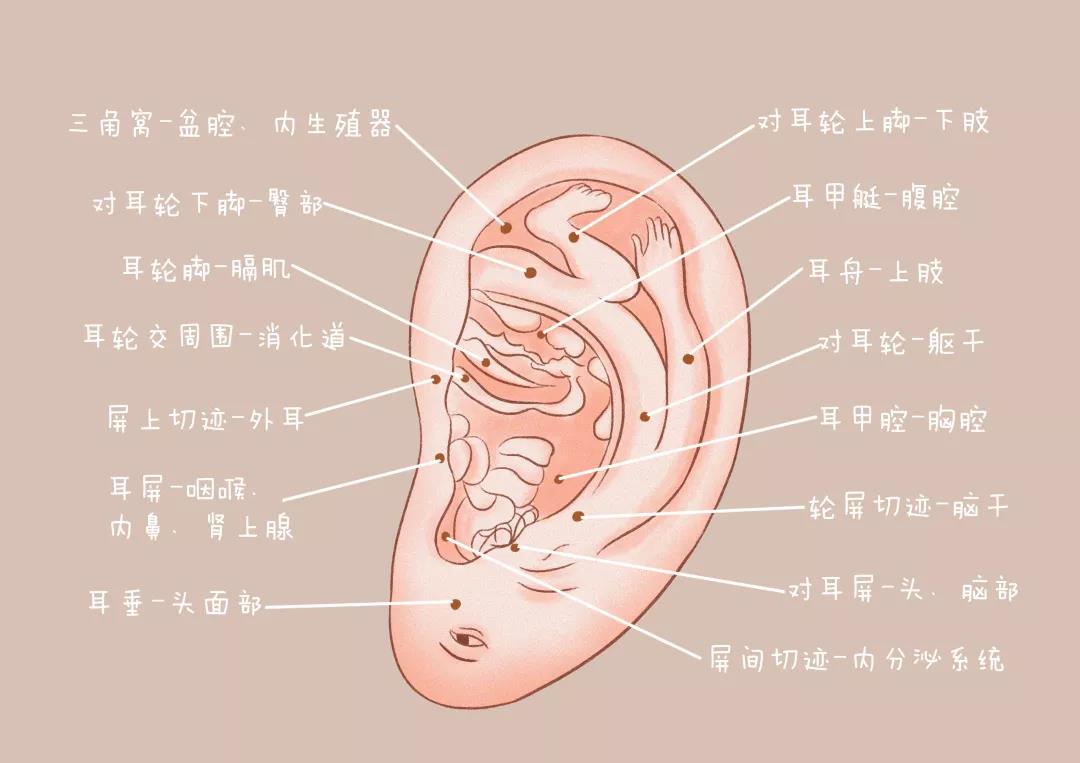1571127358445899.jpg 微信图片_20191015152048.jpg